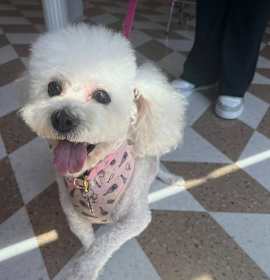 Photo of Sandy
