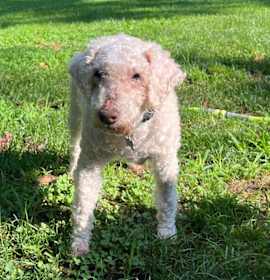 Photo of CALVIN