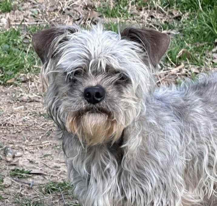 Photo of Finn