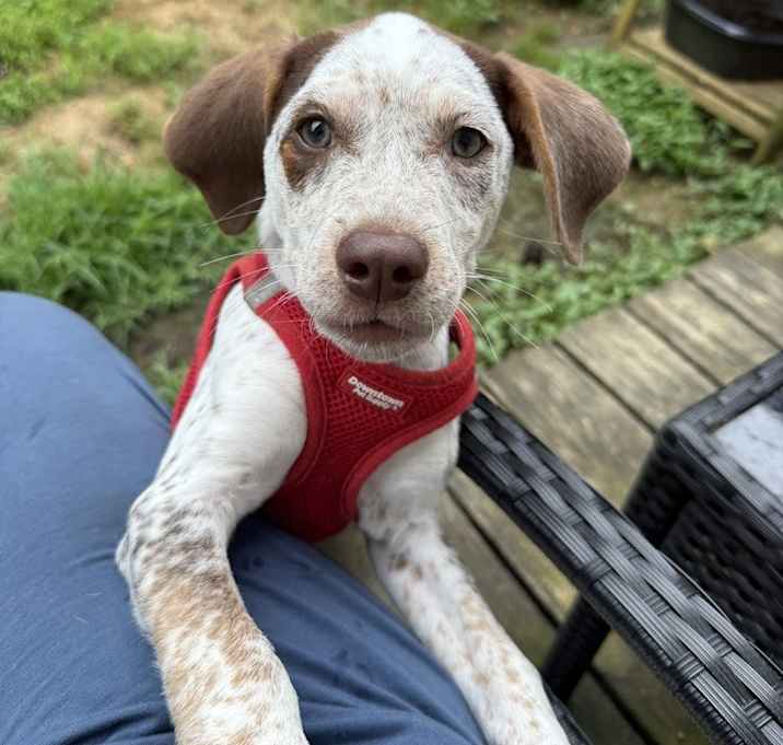 Photo of Baby Petey
