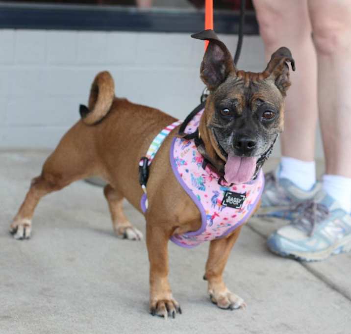 Photo of Roxy