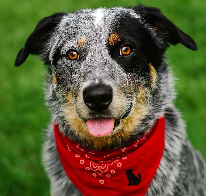 Photo of Spud