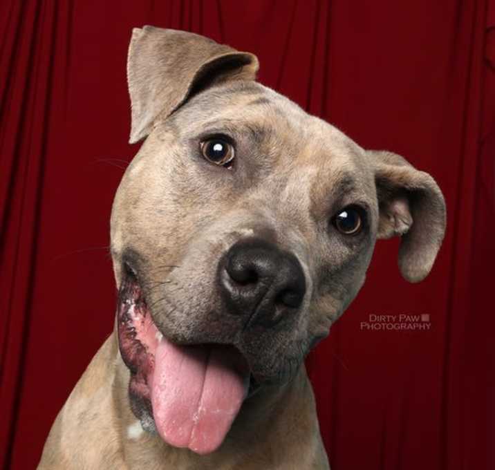 Photo of Bruce
